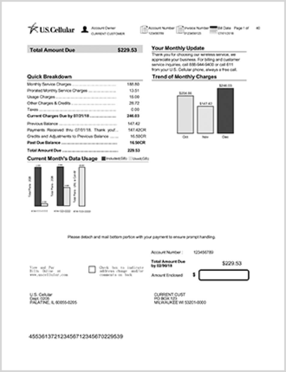 U.S. Cellular Bill 2 View